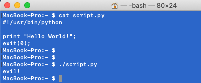 Escape sequence injection in Python script on Mac OS