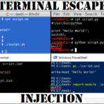 Terminal escape injection logo