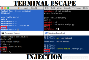 Terminal escape injection logo