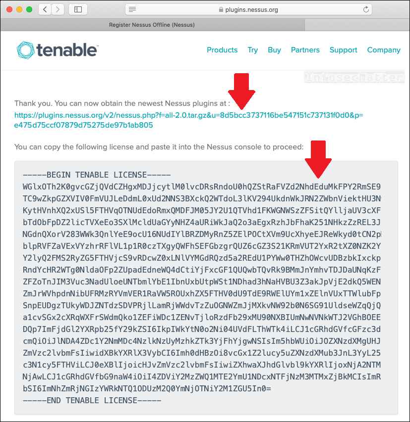 Successful Tenable Nessus license activation with plugins download link